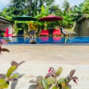 The Kingslayer Resort Negombo